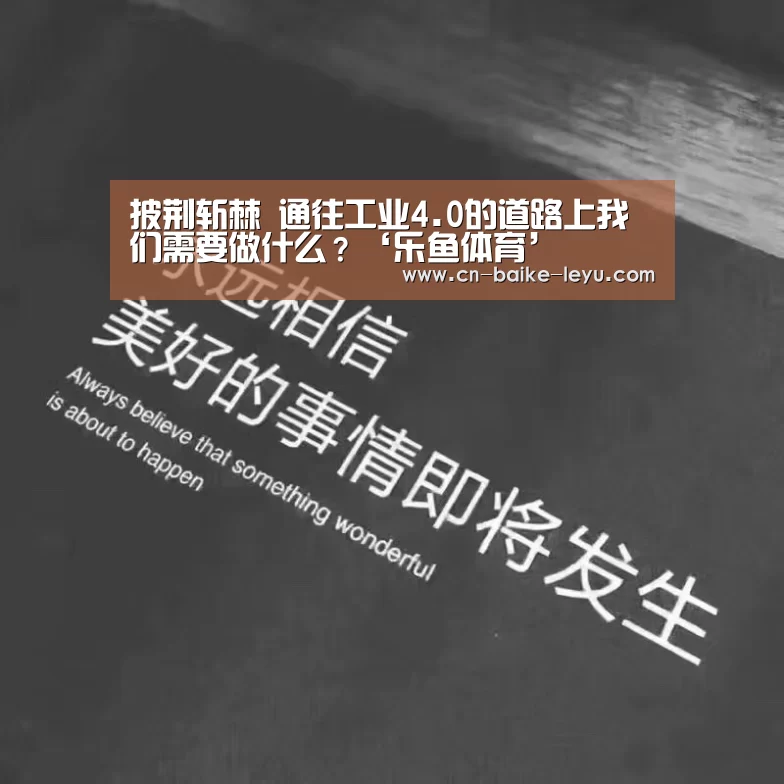 披荆斩棘 通往工业4.0的道路上我们需要做什么?‘乐鱼体育’(图3) LEYU SPORTS